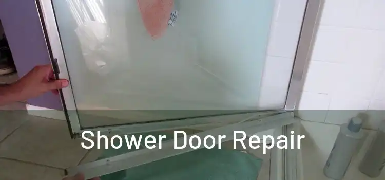  Shower Door Repair 